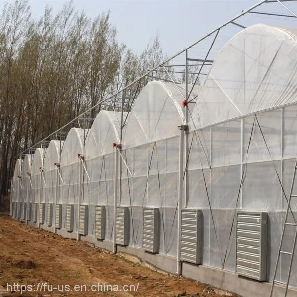 Multi Span PE Film Agricultural Greenhouse photo-5