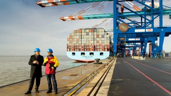 OKI MILL SITE JERRY PORT FCL Cargo Ocean Freight Indonesia Partial Ports Logistics photo-5
