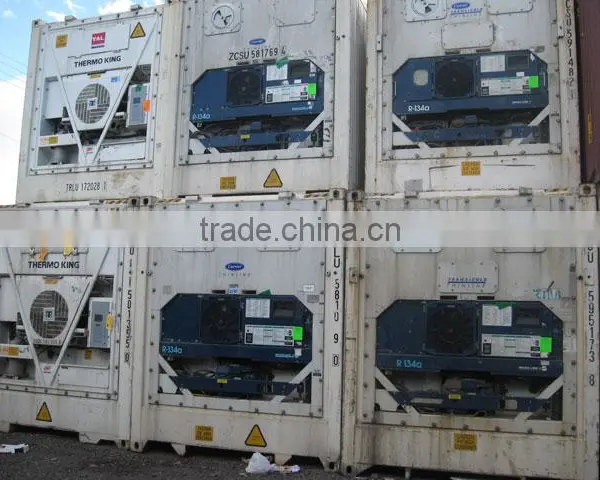 Carrier New and Used Refrigerated Container in China photo-6