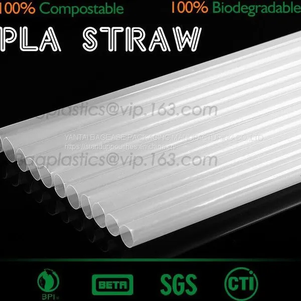 Biodegradable Disposable Sugarcane Bagasse Party Plate,Eco-friendly Sugarcane Bagasse Paper Plate/disposable Compostable photo-4