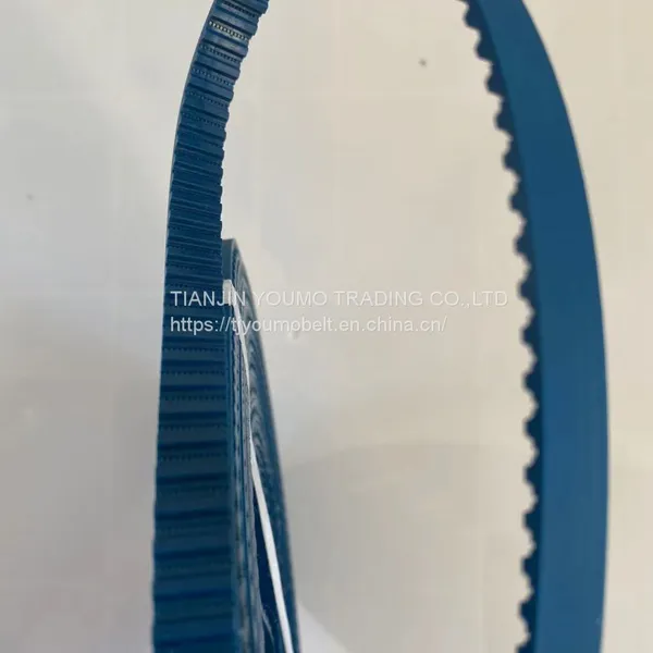 Circular Knitting Machine Belt photo-2
