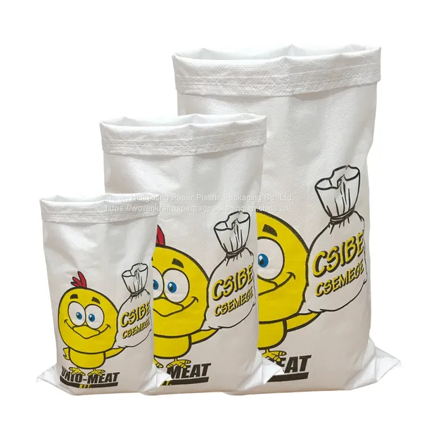 10kg 20kg 25kg 50kg pp Woven Leno Mesh Raschel Bags for Packing Potato Onion Vegetable photo-2