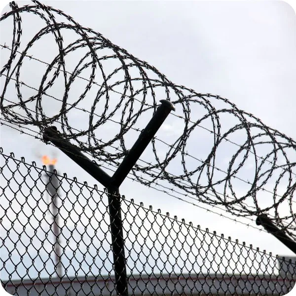Galvanized Razor Wire With 2.5mm Core Diameter for Perimeter Security photo-1