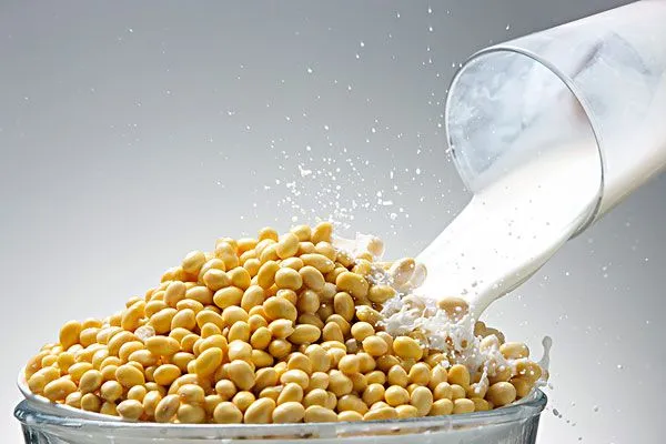 Factory Complete Flavored Soy Milk & Tofu Processing Plant Soymilk Making Machine Equipment Soya Milk Production Line photo-6