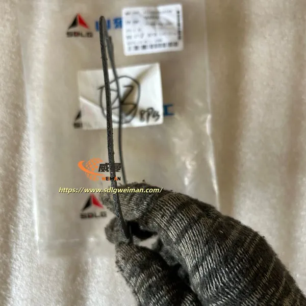 ORIGINAL SDLG Gasket 4110000556159 APPLY FOR SDLG WHEEL LOADER LG978 L978F L975F photo-4