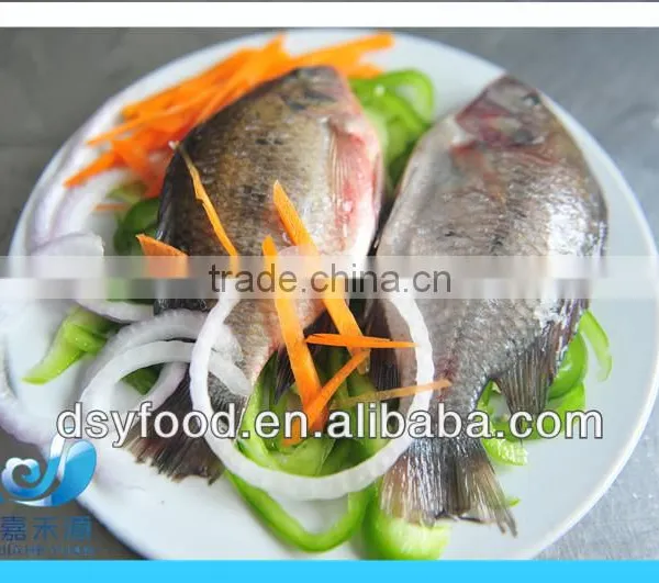 WR Frozen Black Tilapia photo-5