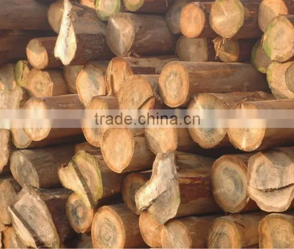 1t 2t 4t 6t Wood for Firewood Industrial Steam Boiler photo-3