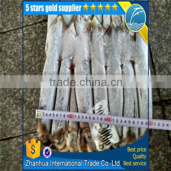 Frozen Illex Squid Price, Seafrozen Jigger Catch Illex Squid photo-5