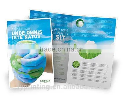 Coated Paper Flyer Printing Cheap Brochure Printing China photo-4