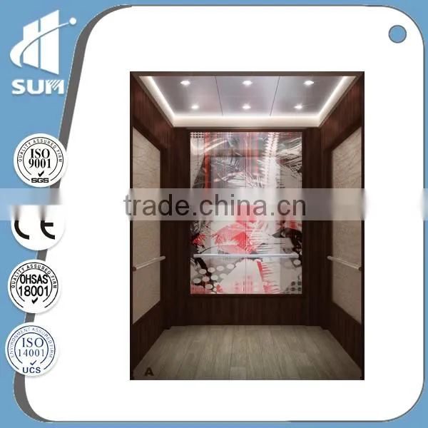 CE Certification Capacity 400-2000kg Residential Elevator
