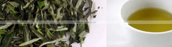 Organic White Tea-- White Peony