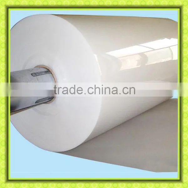 Polypropylene pp Plate PP Sheet Polypropylene Sheet/ pp Sheet Roll