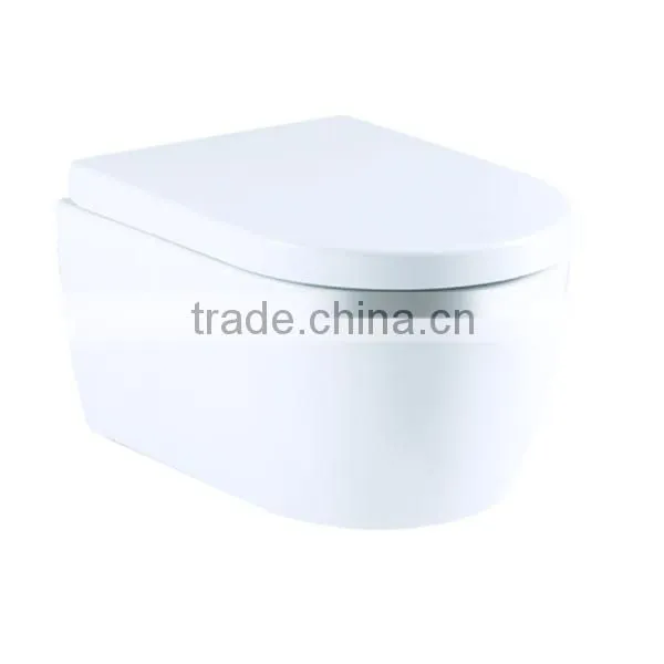European Hot Sales Bathroom Wall Hung Toilet Parts DG144