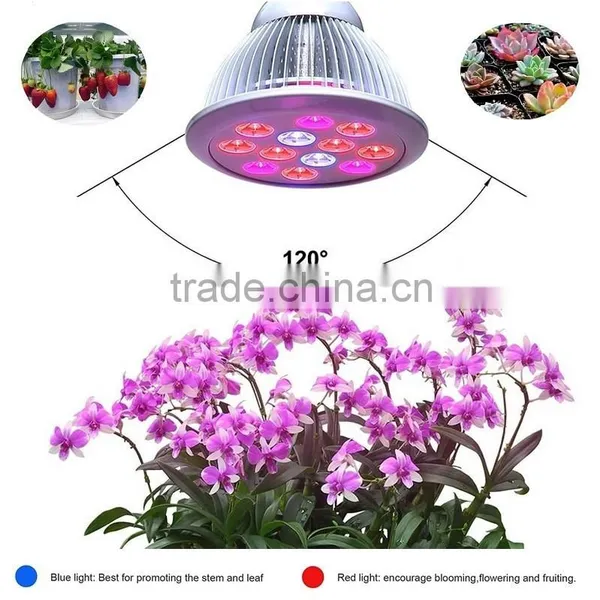 XQD Green House Garden Agricultural Led Grow Light Full Spectrum Led Grow Lights Hydroponic photo-6