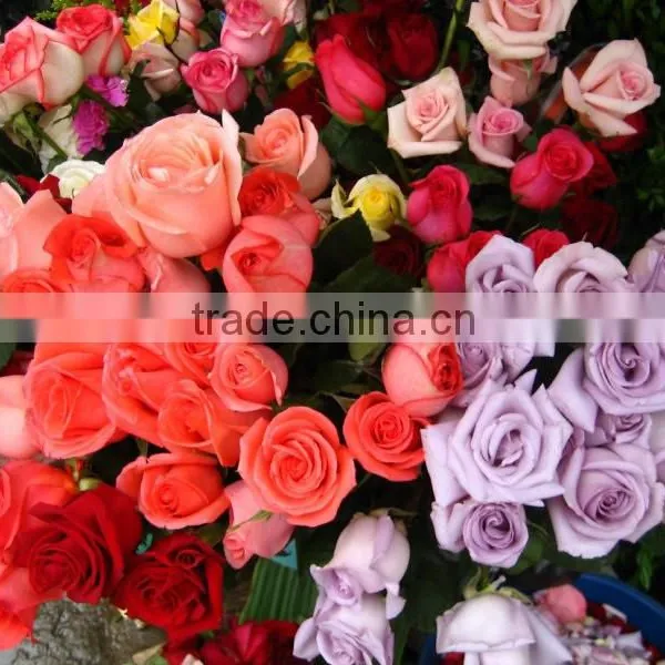 Fresh Cut Flowers Available... photo-6