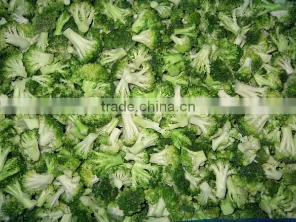 Frozen Broccoli With Best Price, Frozen Vegetable photo-3