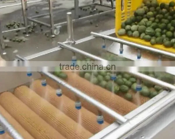 Full Automatic Industrial Spray Vegetable And Fruit Washer Washing Machine photo-4