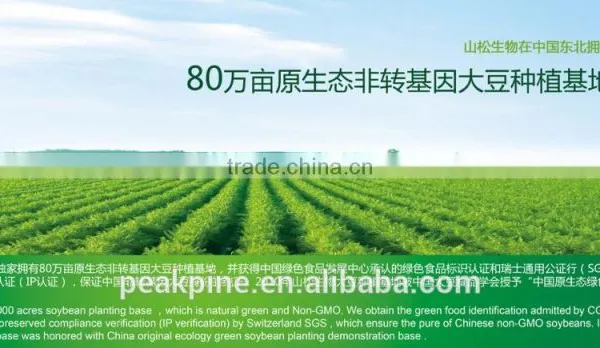 Functional Soy Protein Concentrate photo-3