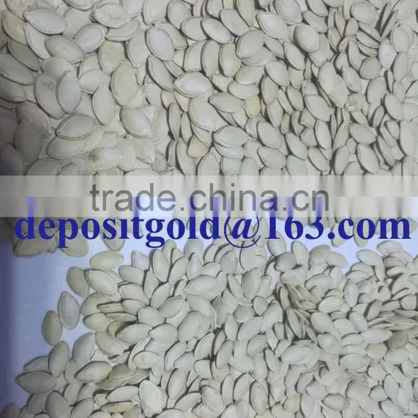 Shine Skin Pumpkin Seeds in Shell photo-5