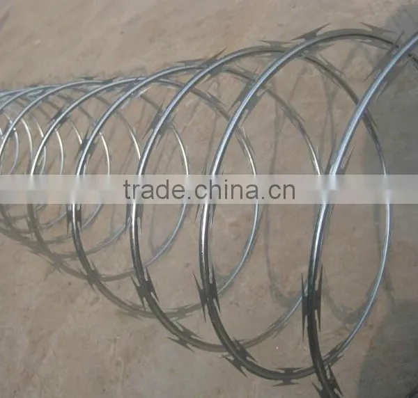 Factory Wholesale Hot-dipped Galvanized Razor Barbed Wire Mesh Fence photo-2