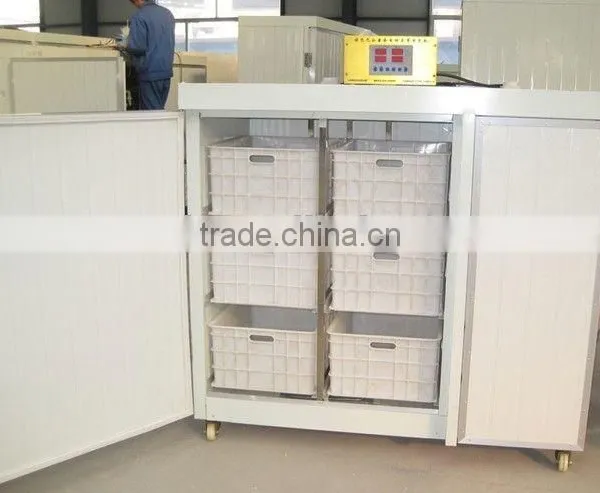 HOT! China Made Soya Bean Sprout Machine photo-4