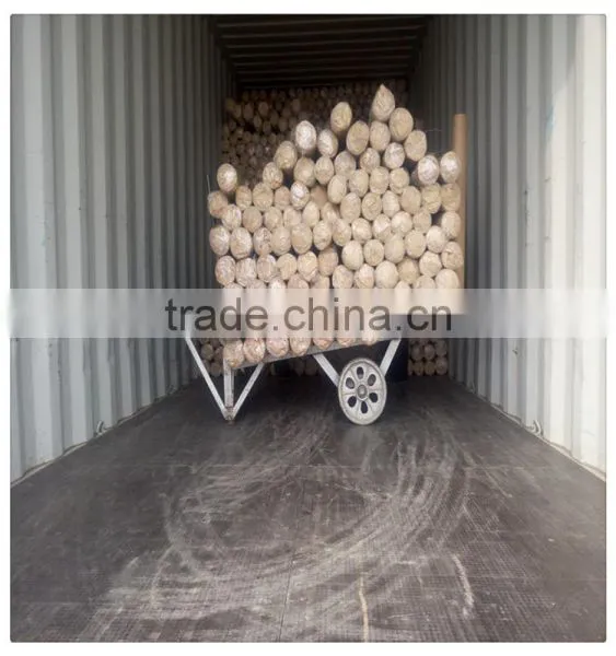 High Quality Welded Wire Mesh Price / Welded Rabbit Cage Wire Mesh Factory photo-4