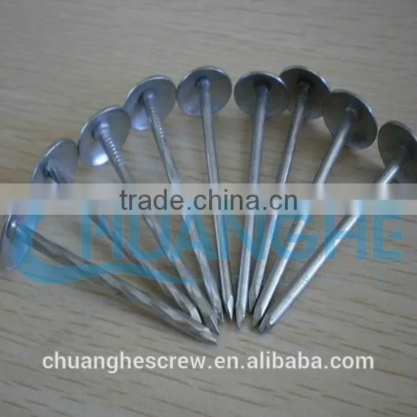 Umbrella Head Roofing Nails Factory Super Price photo-3