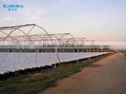 High Performance Pe Film Greenhouse For Strawberry photo-6