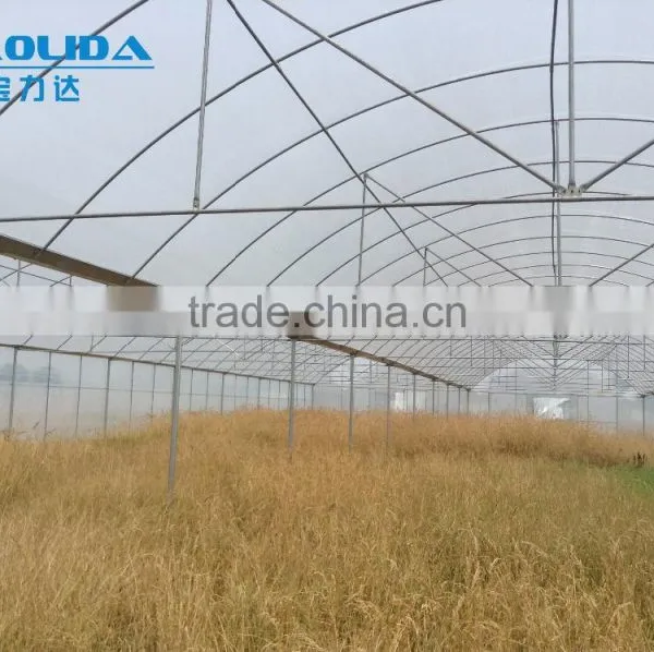 Polythene Film Solar Greenhouse For Vegetables photo-3