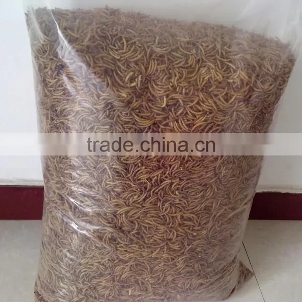 Fish Food Mealworms Golden Yellow, Pigeon Feed photo-3