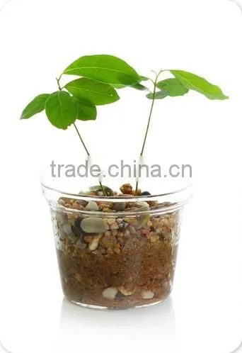 Glass Flower Pot, Glass Plant Pot Garden Pots