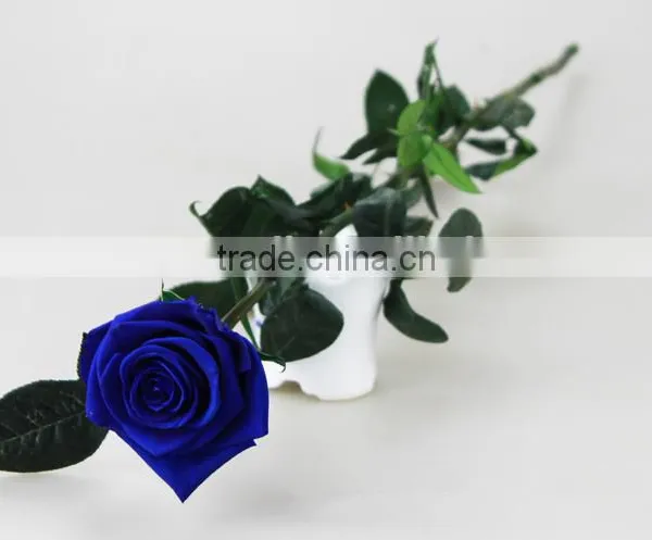 Wholesale Beautiful Real Natural Preserved Flower Preserved Rose With Stem photo-4