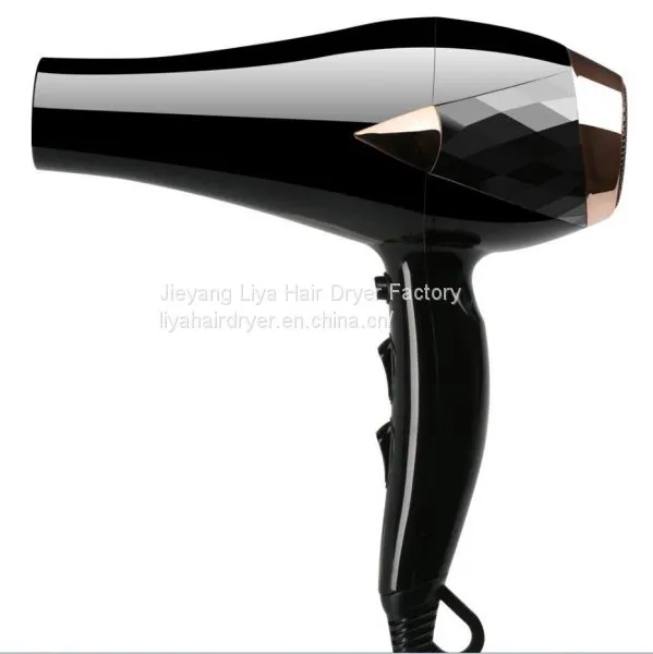 Competitive Price Professional Salon Use Hair Dryer With AC Motor