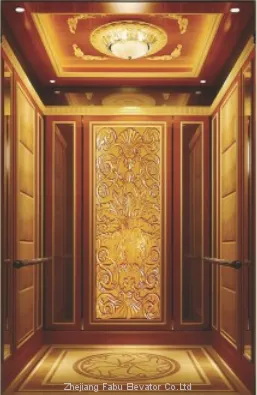 Home-use residential elevator electric indoor small home elevator lift