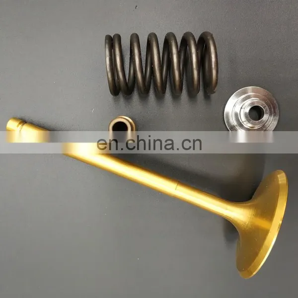 Natural Gas Biogas Mine Intake Exhaust Engine Valves For MWM TCG 2020 3016 2016 2032 K1 V12 V12 1.0 V16 V20 Insert Seat Guide photo-7