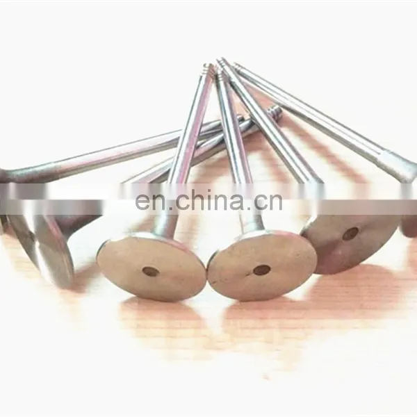 Motor Indonesia Modified Pit Bike Motocross Spare Parts Engine Valves For Benelli Tnt 25 250 600 Scrambler photo-4
