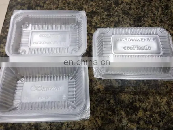 HAS VIDEO PS PP PET Disposable Plastic Food Container Machine photo-4