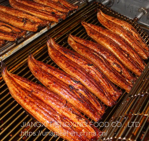 Broiled Eel-Unagi Kabayaki Eel (Anguilla Rostrata/Japonica) photo-4