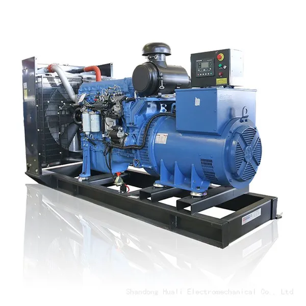 Factory Direct Sale Diesel Generator Price 300kW Power Generator Yuchai Diesel Generator photo-3