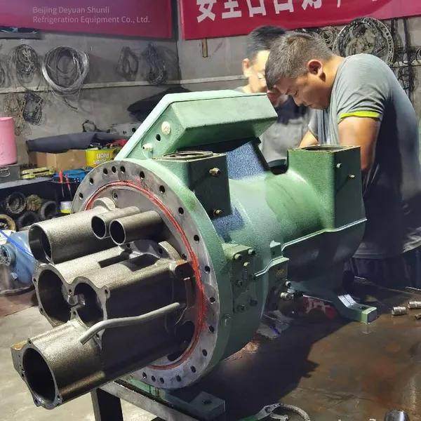 Maintenance for High Noise of Dunham-bush 1215nhf6x6k, Including Replacement of the Main Board of Futian Unit, Repair for Water Ingress in the Motor photo-5