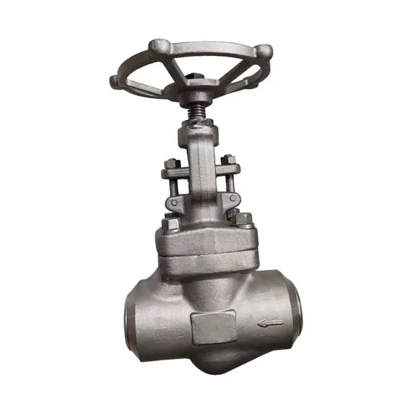 Factory Direct Sales Forged Steel Globe Valve Welded Globe Valve photo-4