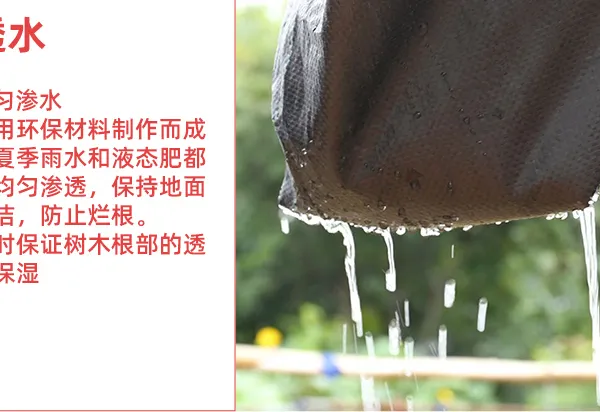 Original Manufacturer of Orchard Weed Control Fabric and Agricultural Weed Barrier Fabric Exporter for Foreign Trade photo-3