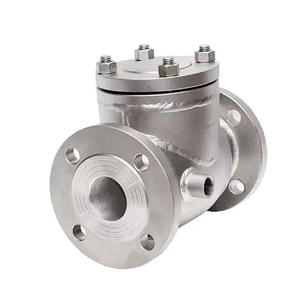 Factory Direct Sales of High-quality Stainless Steel Flange Swing Insulation Check Valve photo-3