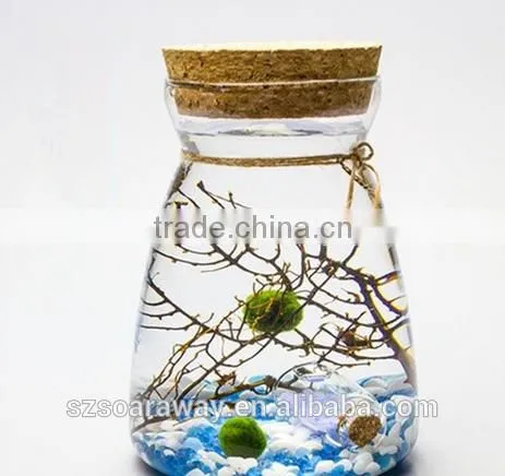 Terrarium Glass Vase Container Pots for Home Wedding Decor photo-3