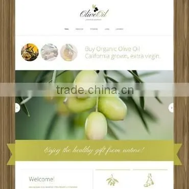 Business Web Development photo-5