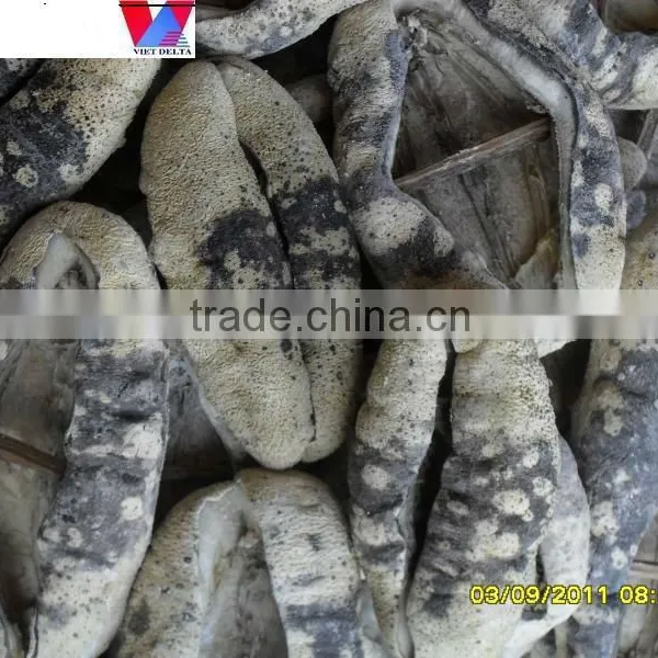 Dried Sea Cucumber/ Dried Trepang