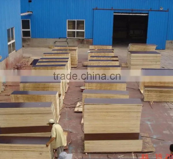 Black Film Faced Plywood 1220*2440*16mm photo-3
