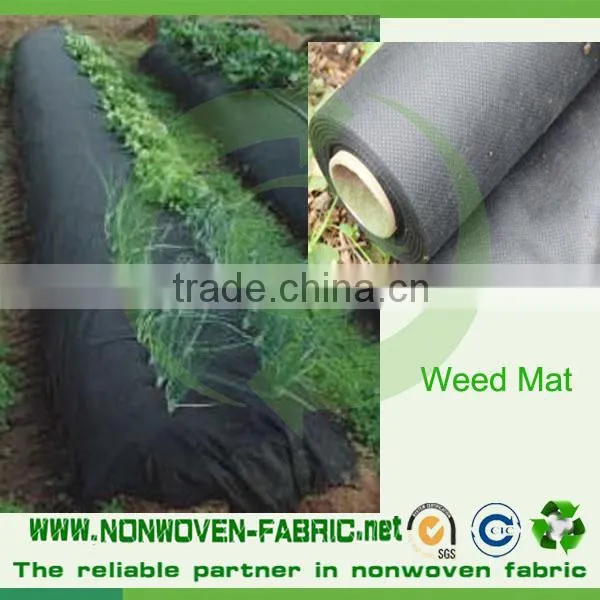Agriculture Use Biodegradable 100% PP Spunbond Nonwoven Fabric/Landscape Fabric photo-5