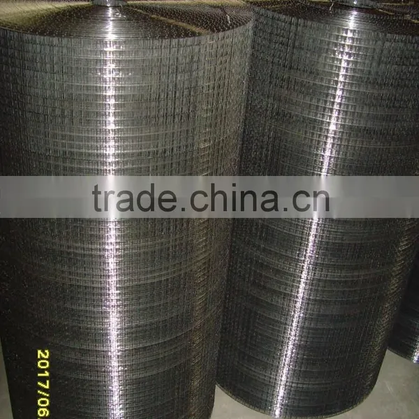 China Factory Welded Wire Mesh /Netting photo-5
