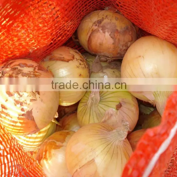 New and Bulk Crop Onion photo-4